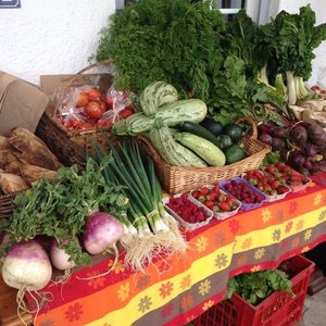 Graze Farmer's Market - Wednesday Mornings